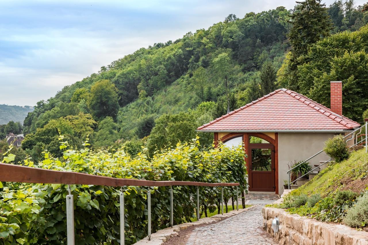 Flair Hotel Villa Ilske Bad Kosen Exterior photo